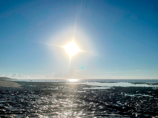 かめ助産院 イメージ写真