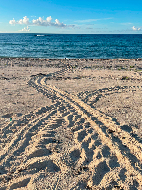 かめ助産院 イメージ写真
